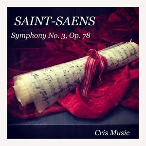 Symphony No. 3, Op. 78 - I.b. Poco adagio
