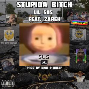 Stupida ***** (feat. NKBI, Zarek & Dreep) (Explicit)