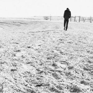 Bipolar Bear (feat. Dawn X) (Explicit)