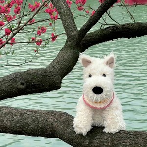 walk on water (前奏变速版)