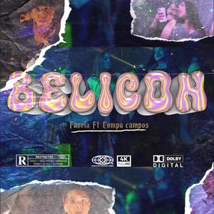 Belicon