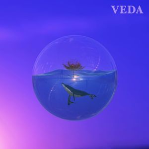 Luck to XX (행복을 빌어)