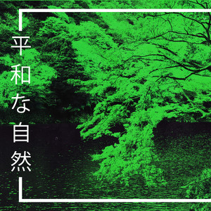 自然の音と音楽 - 荒ぶる波