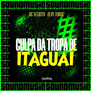 CULPA DA TROPA DE ITAGUAÍ (Explicit)