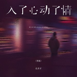 入了心动了情 (男版)