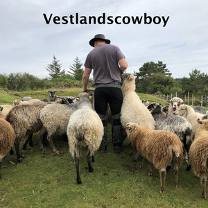 Vestlandscowboy