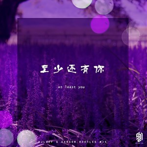 林忆莲-至少还有你 - DJLAEF & CARSON Bootleg MIX） (Carson / DJLAEF remix)