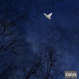 Not The Same (Explicit)