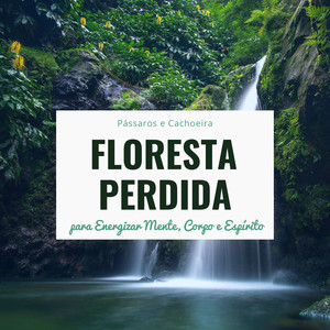 Floresta Perdida - Músicoterapia, Pássaros e Cachoeira para Energizar Mente, Corpo e Espírito