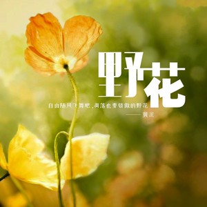 野花封面