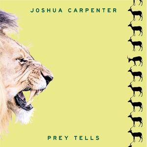 Darling Don't You Wait for the Blows