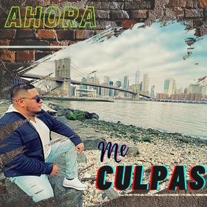 Ahora me Culpas