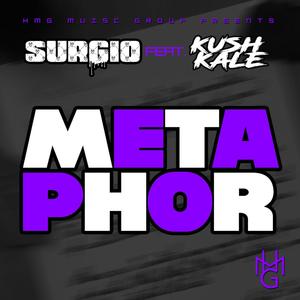 Metaphor (feat. Kush Kale & Cirok Starr) [Explicit]