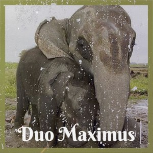 Duo Maximus