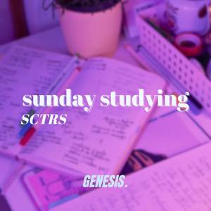 sunday studying