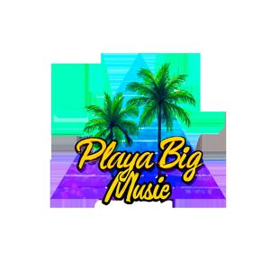 Thony Stev (NOT FAKE) (feat. Janka) (Explicit)