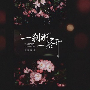 一刹那,一花开 (伴奏)