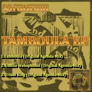 Tribal King (Original Agenda Mix)