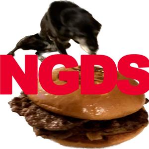 NGDS (Explicit)