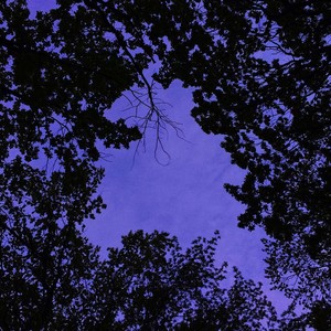 Пеликан (Explicit)