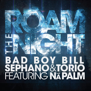 Roam the Night (feat. Na Palm)