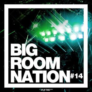 Big Room Nation, Vol. 14