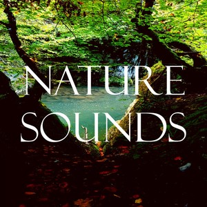 Nature Sounds