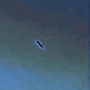 El Dorado Park (feat. Rod Harrison)