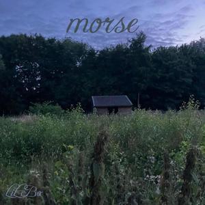 morse (Explicit)