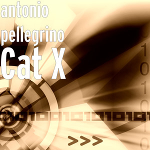 Cat X