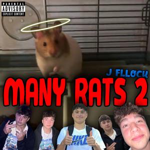 Many Rats 2 (Explicit)