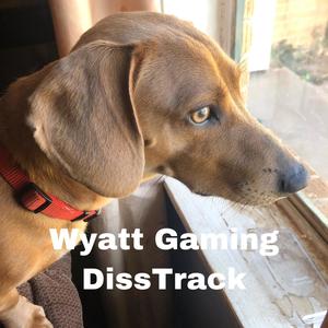 Wyatt Gaming DissTrack