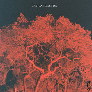 Nunca Siempre
