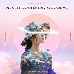 Never Gonna Say Goodbye (Special Version)
