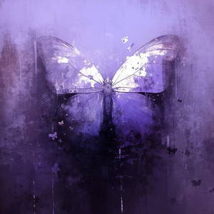 丝路 (独立音乐人版)