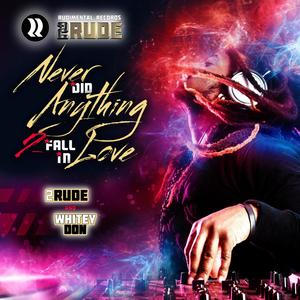 Never Did Anything 2 Fall In Love