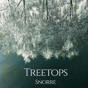 Treetops