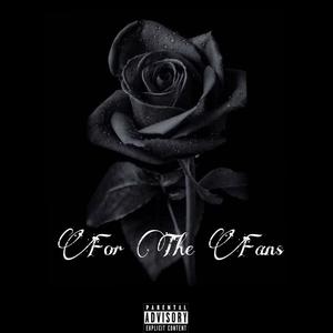 For The Fans (Explicit)