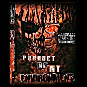 Product Of My Environment (Explicit)