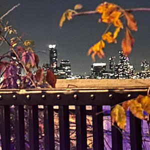 Late Night Cruisin (Explicit)