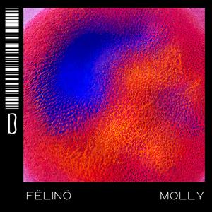 Molly (Explicit)