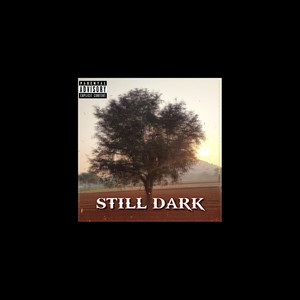 Still Dark (Explicit)