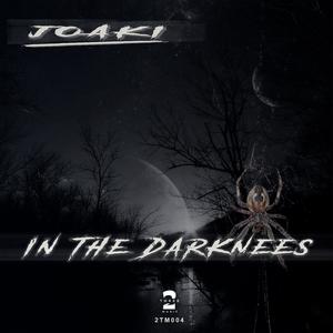 In the Darkness (Explicit)