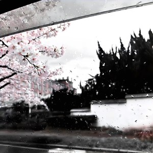 唔叹泪重几分