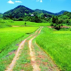 夏の帰り道