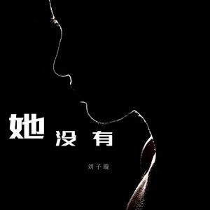 她没有 (DJ版)封面