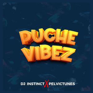 PUCHE VIBEZ (feat. PelvicTunes)