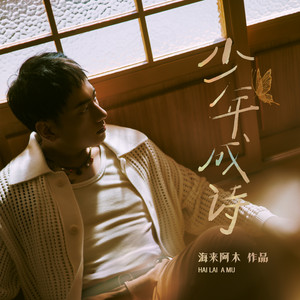 少年成诗封面