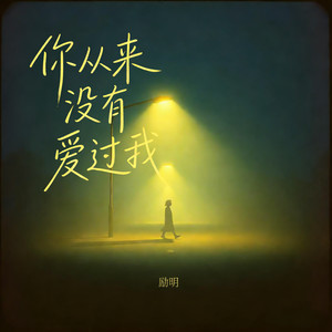 你从来没有爱过我 (周晓鸥对唱版)