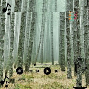 Zarnel Qolvyr (Original Mix)